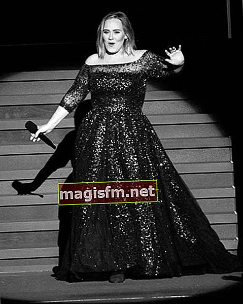 Adele (Sänger) Wiki, Bio, Alter, Größe, Gewicht, Freund, Ethnizität, Kinder, Vermögen, Fakten
