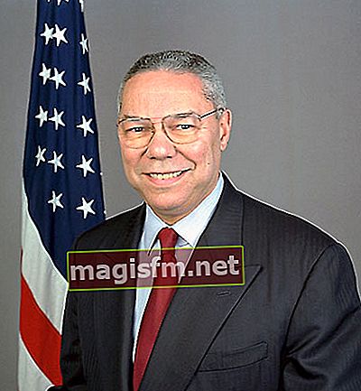 Colin Powell (Politiker) Wiki, Bio, Größe, Gewicht, Alter, Vermögen, Frau, Karriere, Fakten