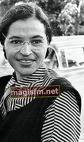Rosa Parks (Politician) Wiki, Biografia, Età, Altezza, Peso, Coniuge, Figli, Carriera, Patrimonio netto, Fatti